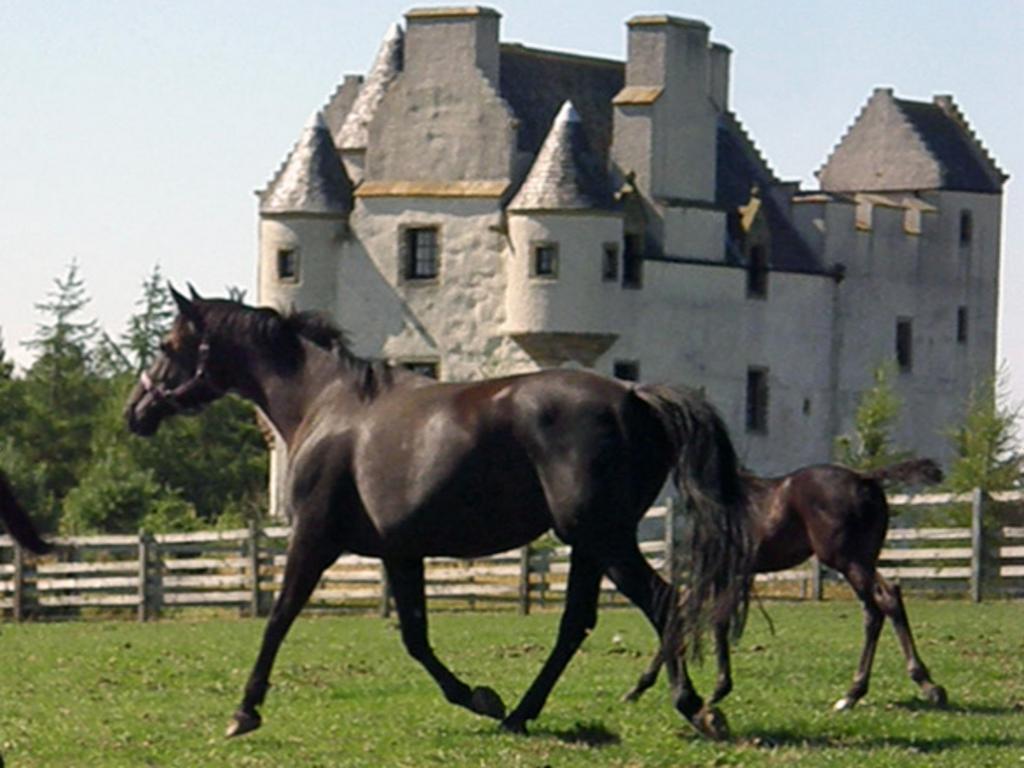 マッセルバーグ Faside Estate Bed & Breakfast エクステリア 写真